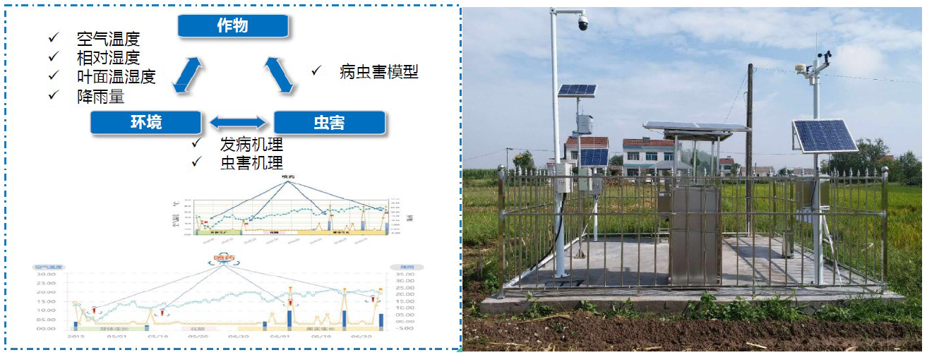 “5G+智慧农业”的农业大数据平台该怎么做？